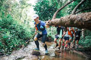 BIB: 
                            <button type="button" onclick="openModal(25374067)" class="btn btn-primary btn-sm float-right btn-popup" data-toggle="modal" data-target=".modal-high-quality">
                        <i class="fas fa-shopping-cart"></i> Add to Cart
                    </button>
                                            <button type="button" onclick="isThisMe(25374067, true)" class="btn btn-success btn-sm float-right btn-popup btn-isme hidden" data-toggle="tooltip" data-placement="bottom" title="นี่คือรูปของคุณใช่ไหม คลิกที่นี่เพื่อเอาเข้าอัลบั้ม">
                        <i class="fas fa-plus"></i> Add to album
                    </button>
                    <button type="button" onclick="isThisMe(25374067, false)" class="btn btn-warning btn-sm float-right btn-popup btn-isnotme hidden">
                        <i class="fas fa-ban"></i> Remove from album
                    </button>